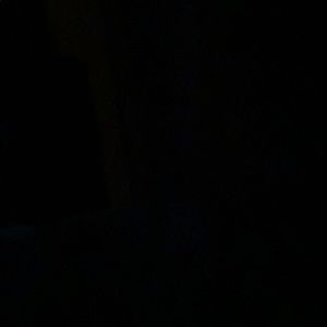 Meet your Posher, Mare